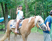 Hakuba Green Sports no Mori of Children land