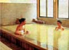 Hakuba Himekawa Hot Spring Iwatakeno-yu
