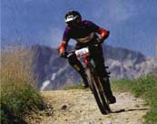 Mountain bike