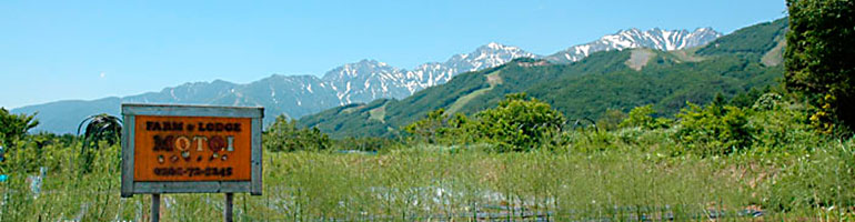 Organic self-farm in north-alps foot