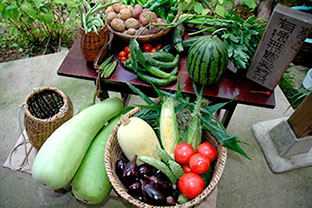 Organic vegetables