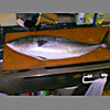 Cold yellowtail