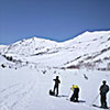 Winter of Tsugaike Nature Park