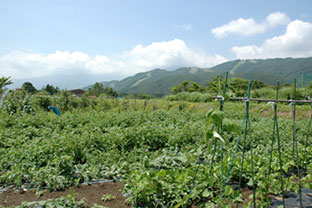 北アルプスの麓にある「基」のはたけ